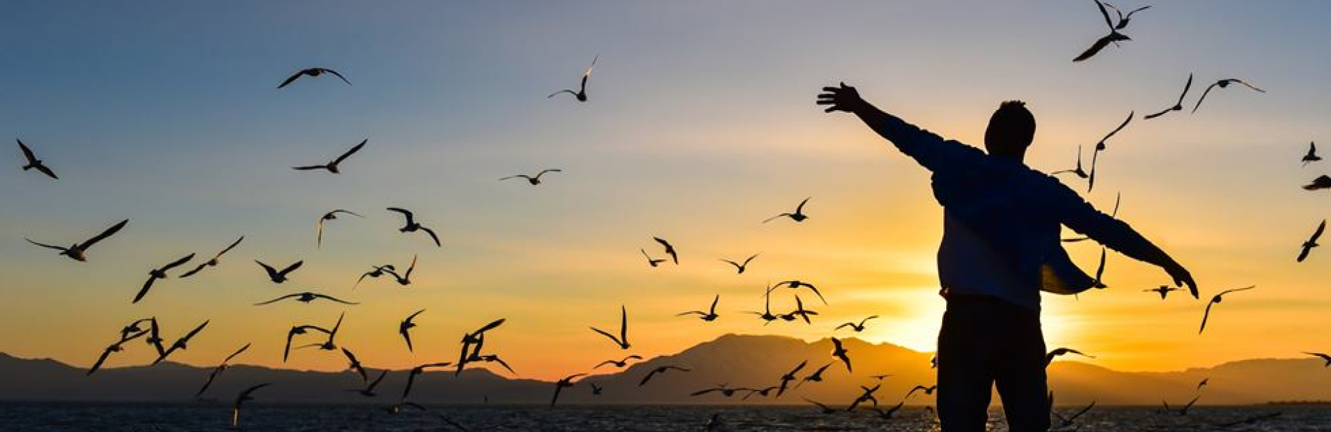 Imagem do banner